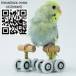 GIOCO BIRD MINI ROLLER SKATES (2 PZ) PER PAPPAGALLINI CM 4X2